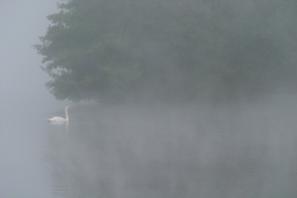 France, artificial lake