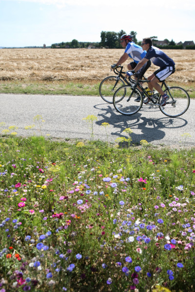 France, Normandie, eure, pays d'evreux, gauciel, cyclistes, route, bandes fleuries ,