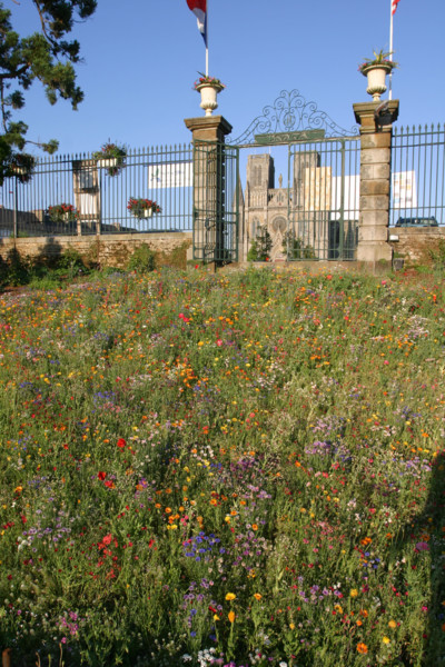 France, avranches