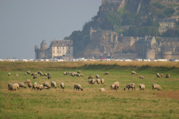 France, Mont-Saint-Michel Bay