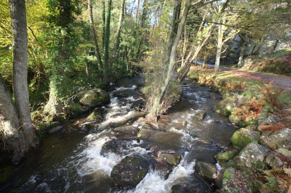 France, Normandie, Manche, la fosse arthour, saint georges de rouelley, riviere, cours d'eau, cascade, arbres, chemin,