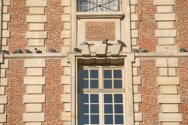 France, place des vosges