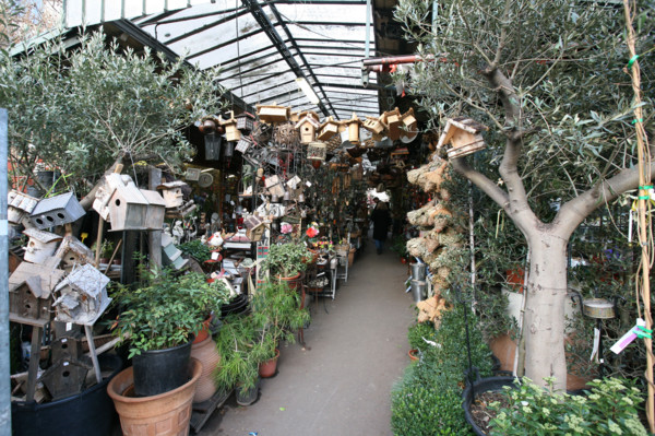 France, Paris 4e, ile de la cite, marche aux fleurs, place louis lepine, commerce,