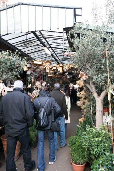 France, Paris 4e, ile de la cite, marche aux fleurs, place louis lepine, commerce,