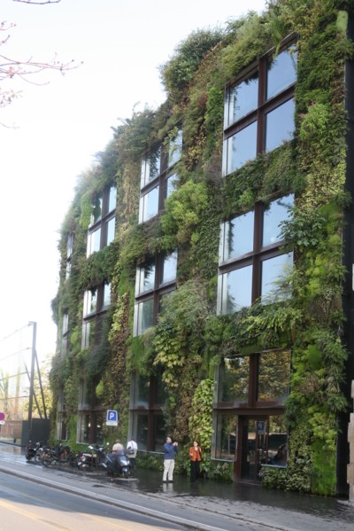 France, paris 7e, musee du quai branly, mur vegetal concu par patrick blanc,