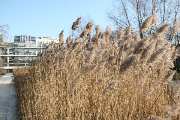 France, bercy park