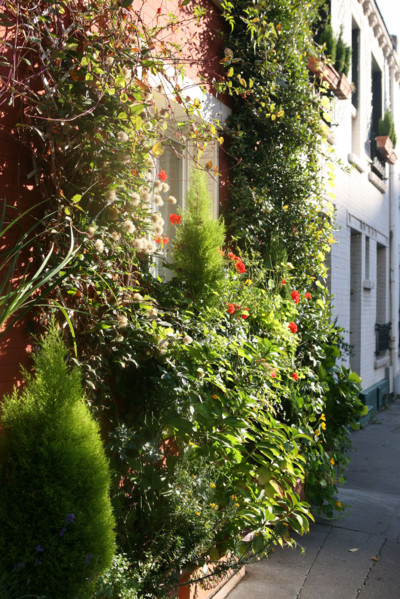 France, small houses around rue brillat-savarin