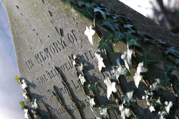 France, cimetiere