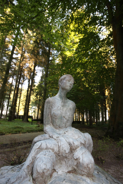 France, pays de bray