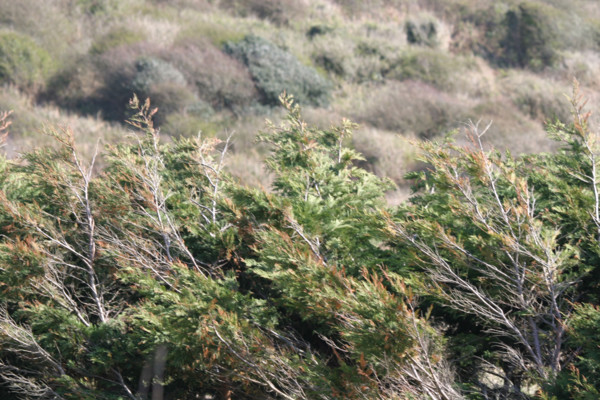 France, cotentin