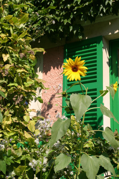 France, giverny