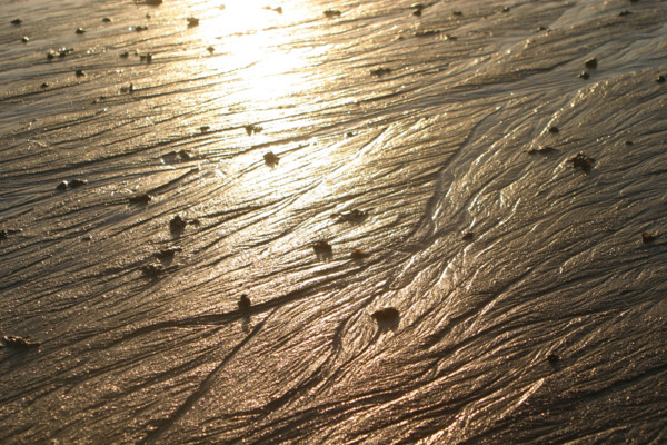 France, Normandie, calvados, cote fleurie, villerville, detail plage a maree basse, coucher de soleil, traces de vers de vase,