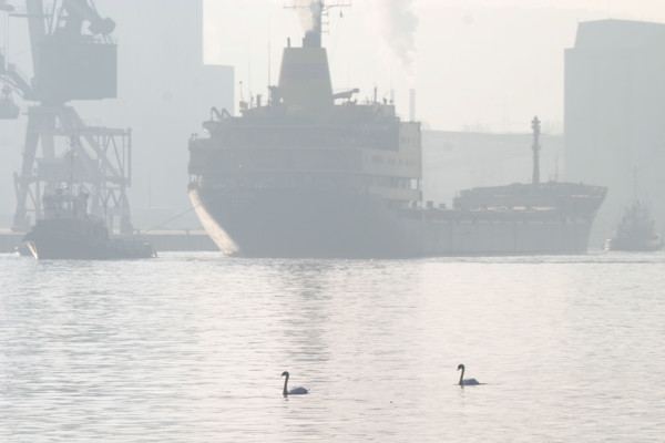 France: Normandie, Seine Maritime, vallee de la Seine, grand port de mer de Rouen, silos a cereales, cargo a quai, cygnes sur la Seine, brume,