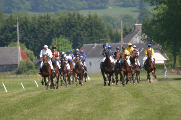 France, Basse Normandie, calvados, pays d'auge, dozule, courses de trot, hippodrome, courses, cheval, pmu, piste herbe,