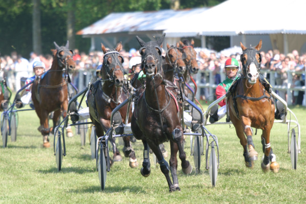 France, Basse Normandie, calvados, pays d'auge, dozule, courses de trot, hippodrome, courses, cheval, pmu, piste herbe,