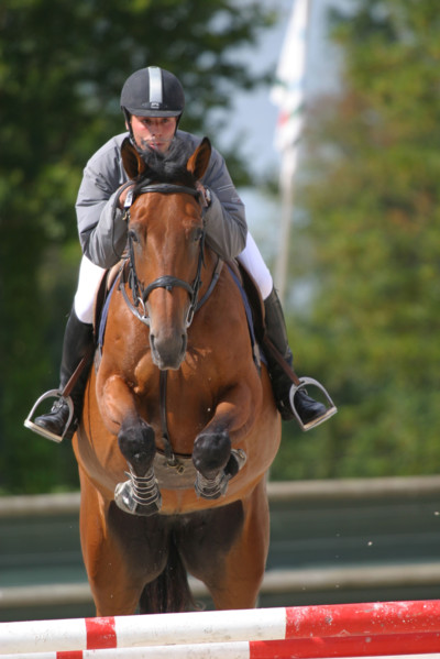 France, Normandie, calvados, Manche, auvers, concours de saut d'obstacles CSO, 
centre equestre Alain Hinard a Auvers pres de Carentan,