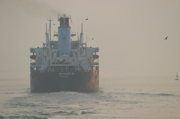 France : Normandie, Seine Maritime, vallee de la Seine, grand port de mer de Rouen, cargo dynamic G,