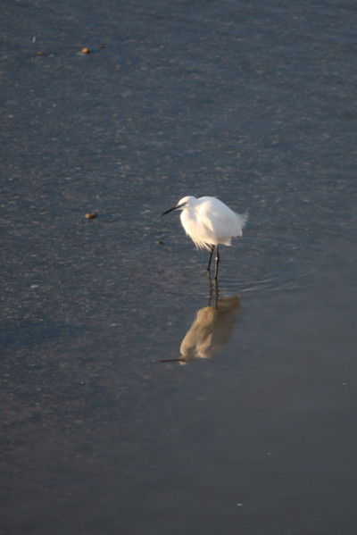 France, cabourg