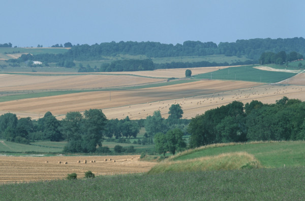 France, landscape