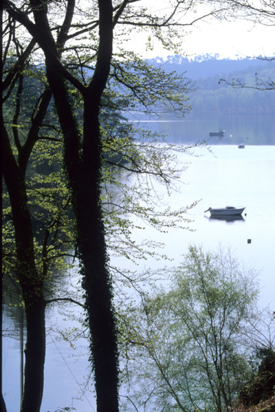 France, Bretagne, Cotes d'Armor, lac de Guerledan, plan d'eau amenage, rochers, bateau de plaisance, arbres