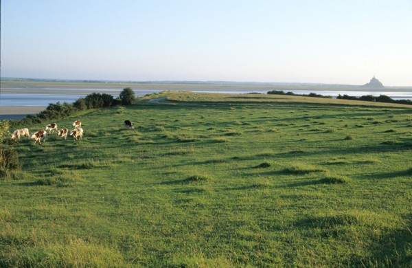 France, Land of the Mont Saint-Michel bay