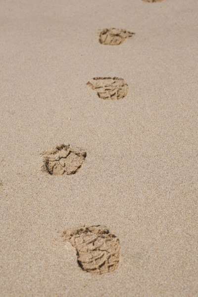 France, Bretagne, Cotes d'Armor, cote d'Emeraude, sables d'or les pins, la plage, traces de pas dans le sable,