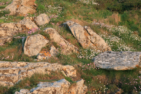 France, cornwall