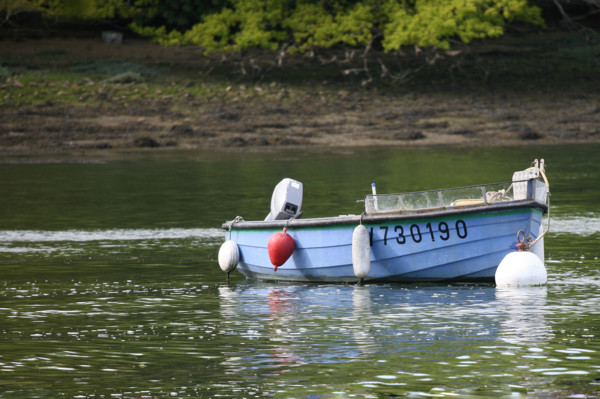 France, Bretagne, Finistere sud, Cornouaille, l'odet au niveau des vire court