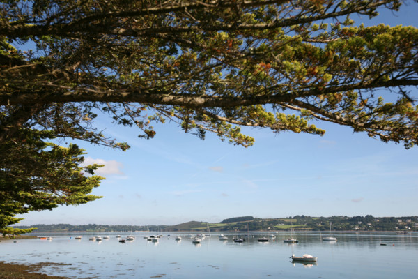 France, Bretagne, Finistere, rade de brest, presqu'ile de crozon, landevennec, paysage, panorama, port, bateaux,