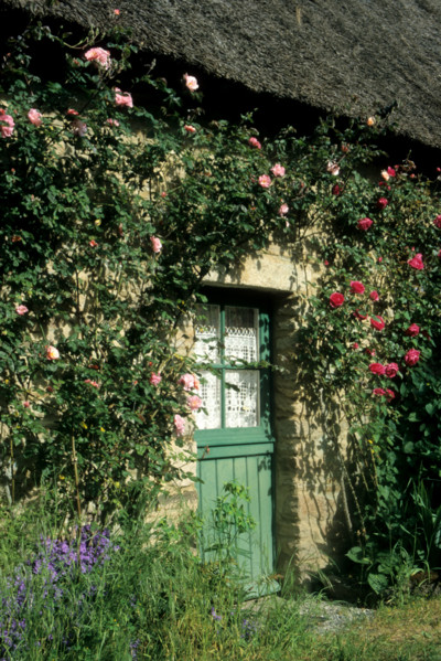 France, pays de loire, loire atlantique, parc naturel regional de briere, village de chaumieres de Kerhinet