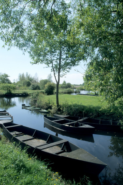 France, regional natural park of briere