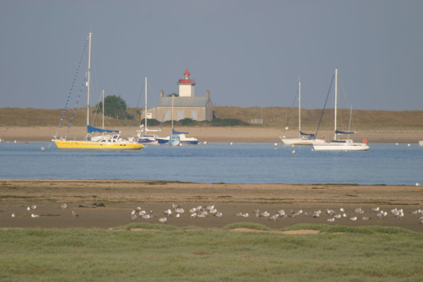France, Basse Normandie, Manche, regneville sur mer, havre de regneville, bateaux echoues, face a la pointe d'Agon,