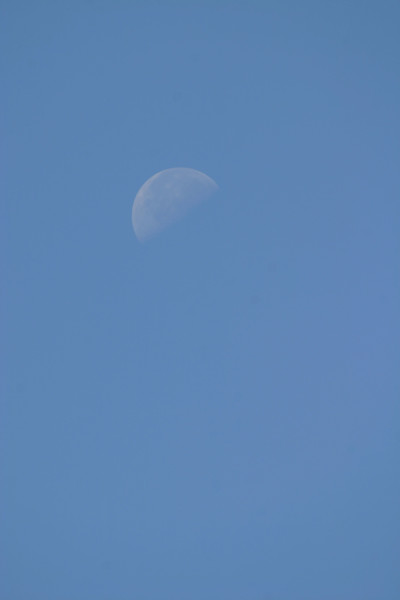 France, Basse Normandie, Manche, pays de la baie du Mont-Saint-Michel, 
quartier de lune dans le ciel bleu,