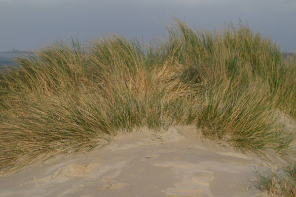 France, cotentin