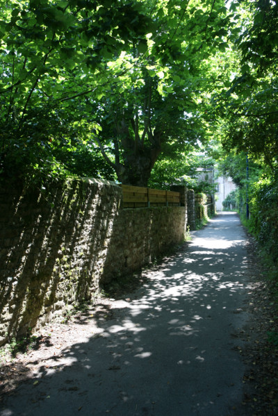 France, Bretagne, Morbihan, golfe du Morbihan, ile aux moines, chemin ombrage vers la partie nord de l'ile, pointe du trec'h, chemin jaune,