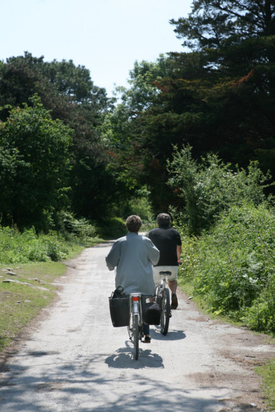 France, Bretagne, Morbihan, golfe du Morbihan, ile aux moines, chemin vers la partie nord de l'ile, pointe du trec'h, chemin jaune, cyclistes, randonnee a velo,
