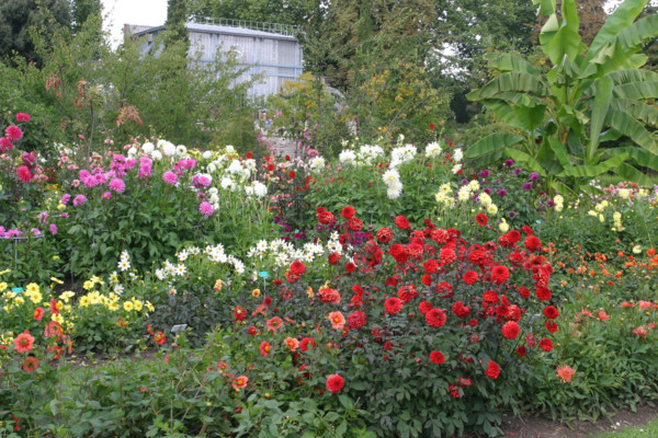 France, rouen