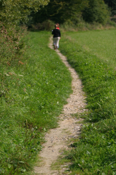France, Haute Normandie, Seine Maritime, pays de la bresle maritime, chemin des etangs, herbe, etangs de la bresle, randonnee, 
incheville