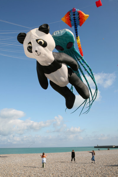 France, Haute Normandie, Seine Maritime, Dieppe, plage, galets, mer, festival des cerfs volants 2008, panda,