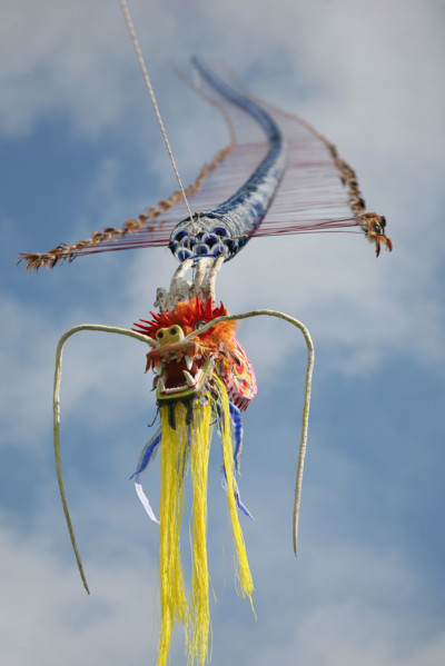 France, Haute Normandie, Seine Maritime, Dieppe, festival des cerfs volants 2008