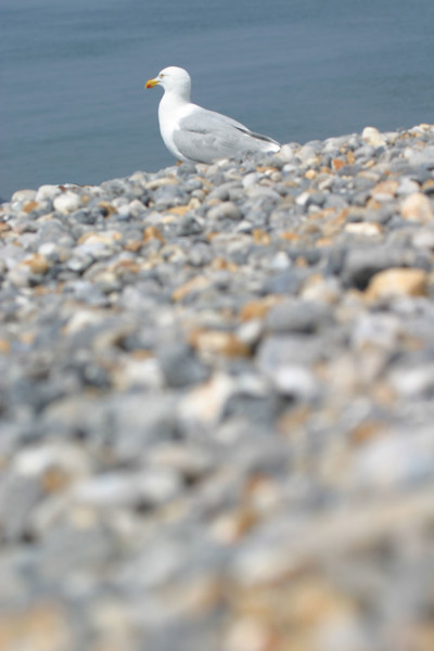 France, dieppe