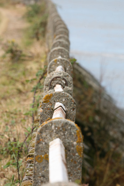 France, Haute Normandie, Seine Maritime, vallee de la Seine, environnement, vatteville la rue face a villequier