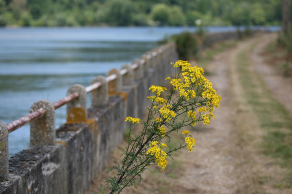 France, vallee de la seine