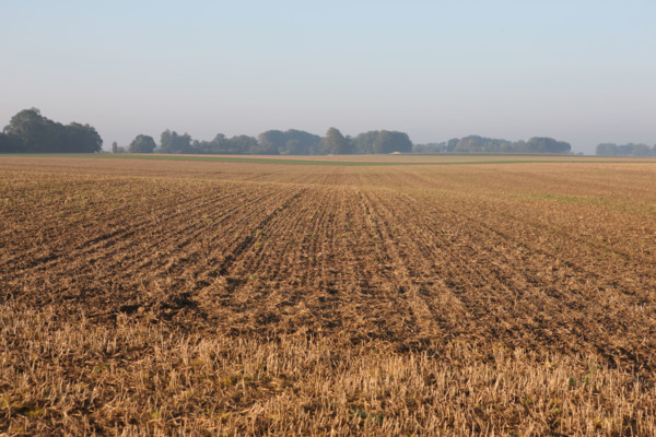 France, Haute Normandie, Seine Maritime, pays de Caux, valliquerville, agriculture, champ laboure,