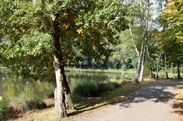 France, pays de bray