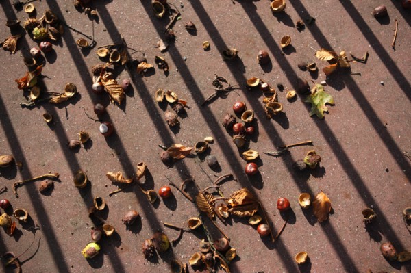 France, pays de bray