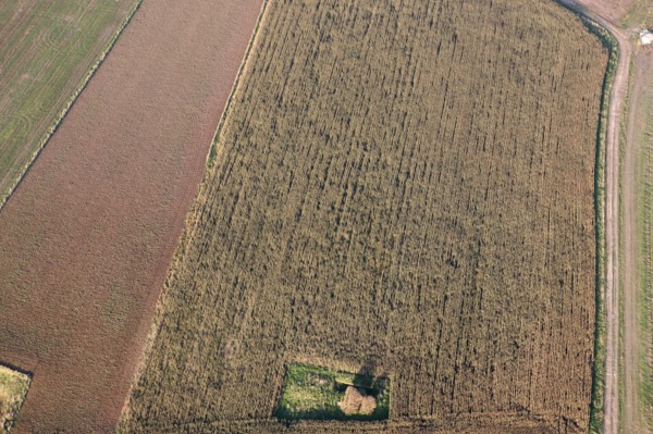 France, Haute Normandie, Seine Maritime, pays de la bresle maritime, survol de la vallee de la bresle maritime, champs, agriculture, bocage, arbres,