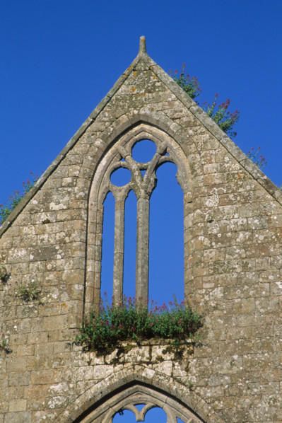 France, Bretagne, Cotes d'Armor, anse de Paimpol, abbaye de beauport, vestiges, ruine, ogive, voute, vieilles pierres,