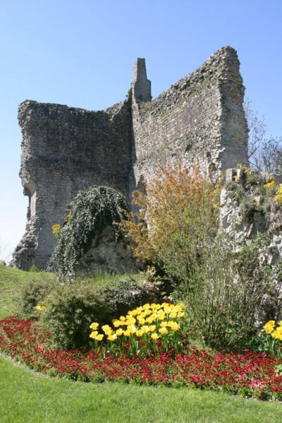 France, Basse Normandie, orne, domfront, vestiges du donjon, jardin,