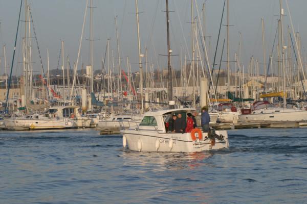 France, Basse Normandie, Manche, Cotentin, Cherbourg, port chantereyne et bateaux de plaisance, vedette, navigation loisir,